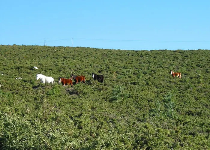 Playa Monte Pindo - Morada Druida О-Пиндо